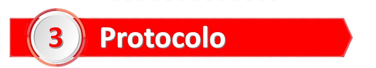 Protocolo