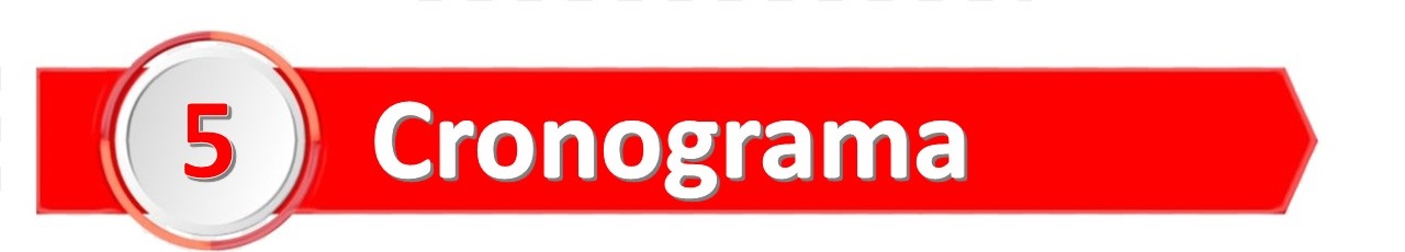 Cronograma